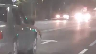 zakon.kz, фото - Новости Zakon.kz от 14.08.2019 12:22