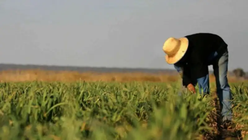 Фермерам дадут "длинные" кредиты на проведение весенне-полевых работ