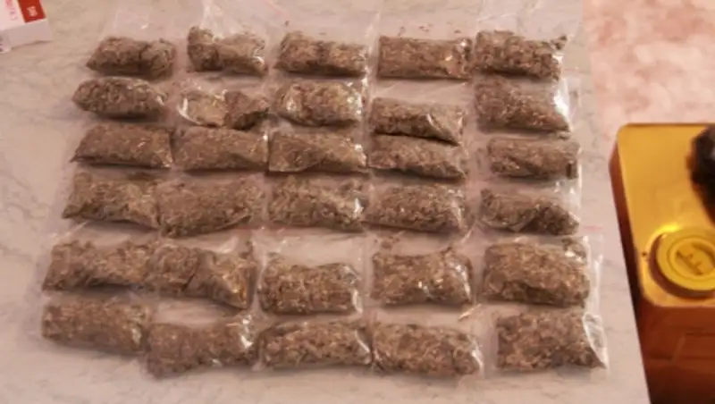 Более 50 наркоточек ликвидировано в Алматинской области с начала года