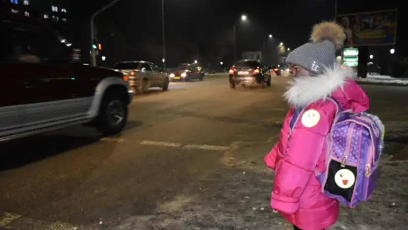 Студент поглумился над макетом школьника в Алматинской области