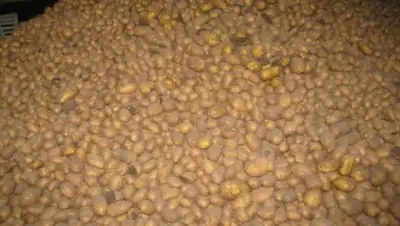 Zakon.kz, фото - Новости Zakon.kz от 04.09.2015 23:57