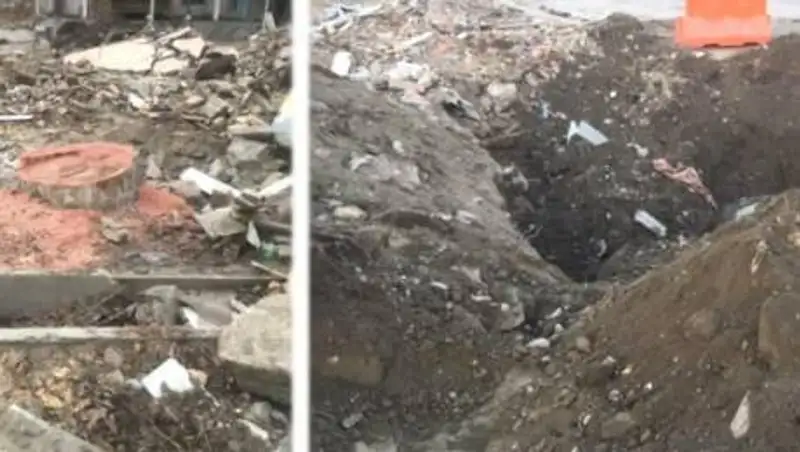 Мужчину оштрафовали на 5 тысяч долларов за спил 200‑летнего дерева