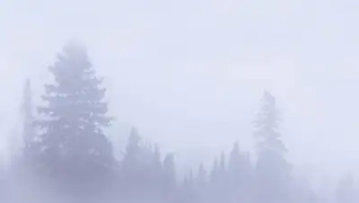 pxhere.com, фото - Новости Zakon.kz от 03.12.2020 17:21