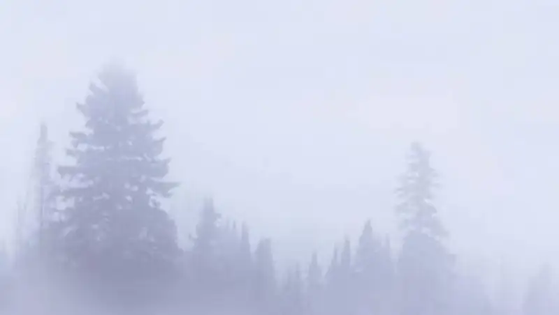 Мороз, метель и гололед. Погода на 4 декабря