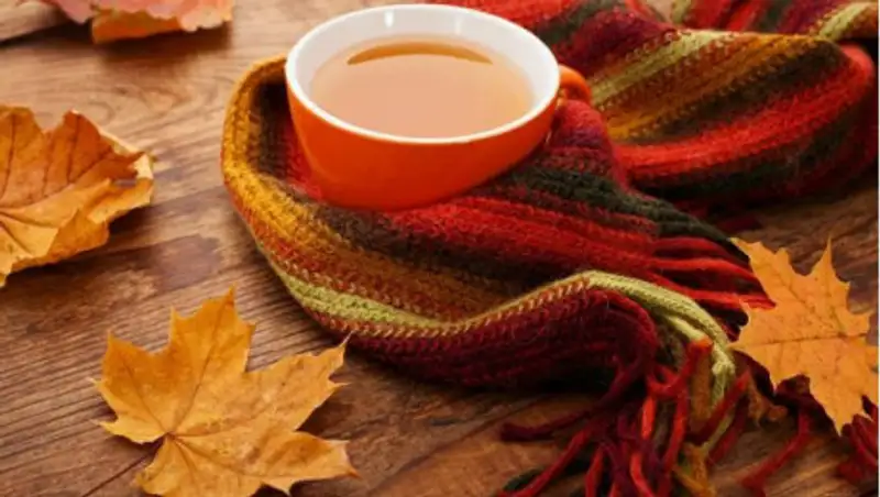 Как избежать болезни в сезон простуд