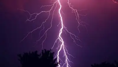 pixabay.com, фото - Новости Zakon.kz от 05.05.2021 20:59