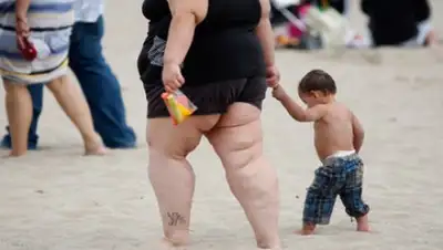 Zakon.kz, фото - Новости Zakon.kz от 08.11.2017 10:19