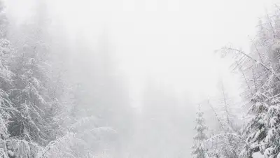 ухудшение погоды, фото - Новости Zakon.kz от 28.11.2022 18:23