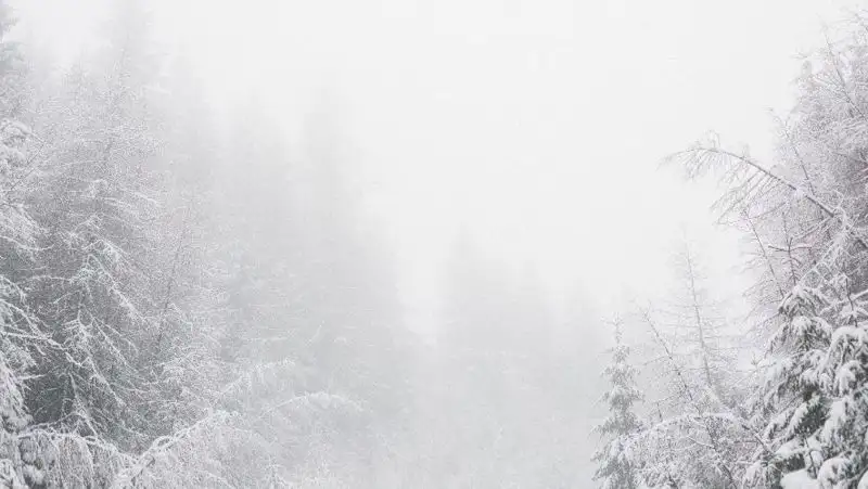 Сильный ветер, снег и туман – штормовое предупреждение объявлено в 5 областях