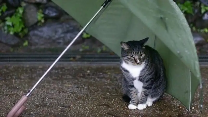 В Казахстане ожидаются заморозки