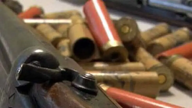 В Акмолинской области жители сдали оружия и боеприпасов на сумму свыше 6 млн тенге