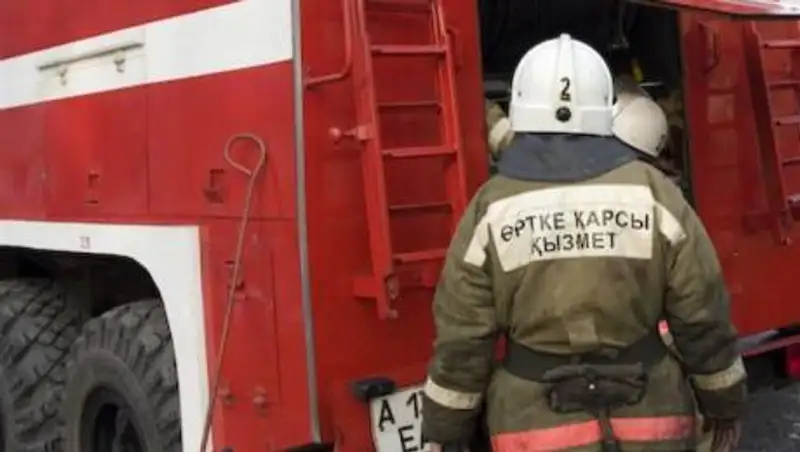 В Алматы горит зоомагазин