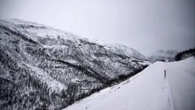 Pixabay, фото - Новости Zakon.kz от 13.12.2019 21:15