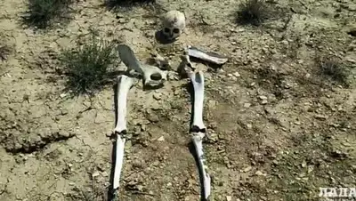 lada.kz, фото - Новости Zakon.kz от 22.07.2019 13:52