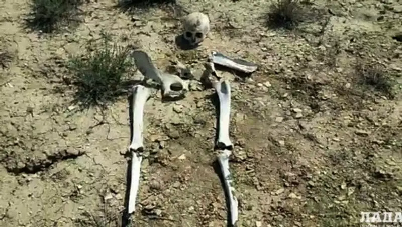 Житель Актау обнаружил скелет человека