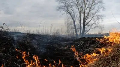 Zakon.kz, фото - Новости Zakon.kz от 21.08.2015 20:21