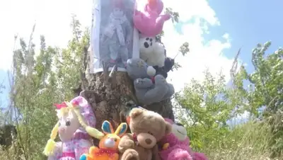 Zakon.kz, фото - Новости Zakon.kz от 23.05.2016 15:10