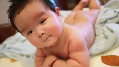 pxhere.com, фото - Новости Zakon.kz от 20.04.2020 01:21