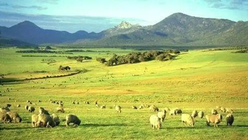 За пастбищами и пашнями в Казахстане ведется плохой контроль