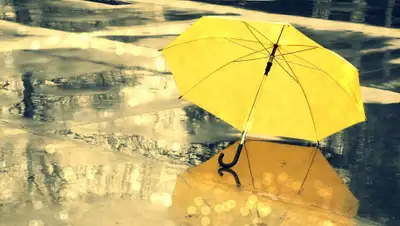 ВЕСТИ22, фото - Новости Zakon.kz от 14.05.2019 16:01