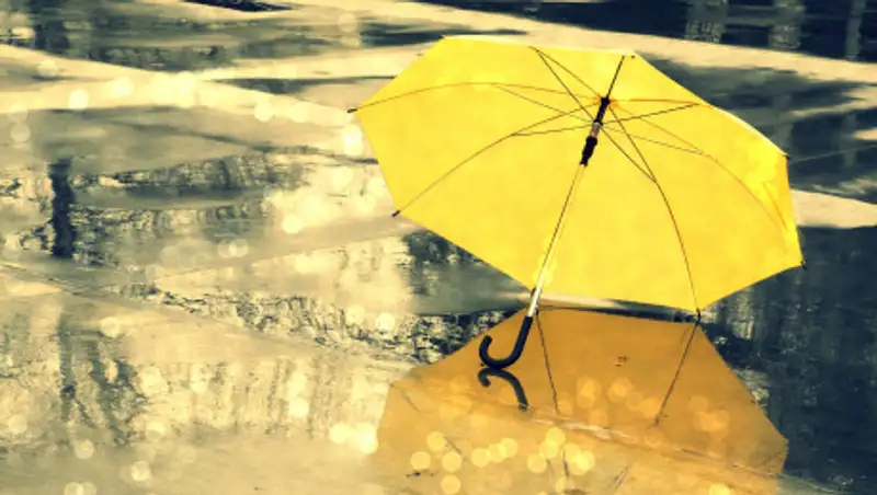 Дождь с переходом в снег ожидается в столице