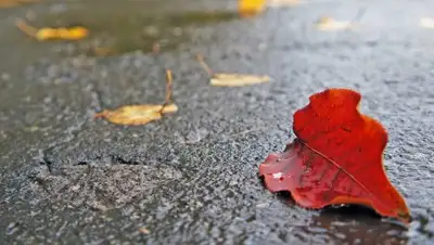 TUT.by, фото - Новости Zakon.kz от 05.09.2018 09:36