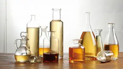 Reference.com, фото - Новости Zakon.kz от 01.06.2019 00:22