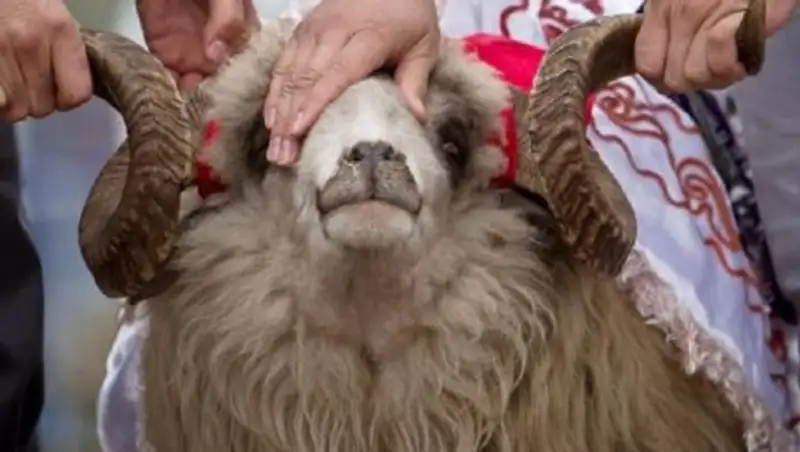 Места для жертвоприношения в дни празднования Курбан айта в Астане