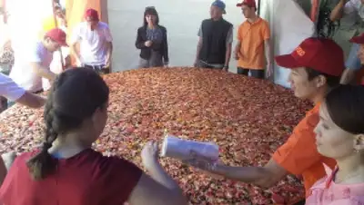 Zakon.kz, фото - Новости Zakon.kz от 01.06.2015 21:38