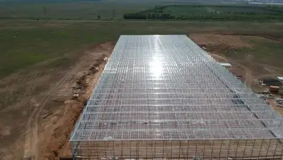 KazakhExport, фото - Новости Zakon.kz от 17.07.2018 09:00