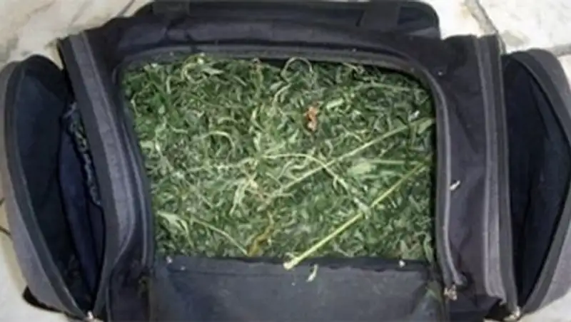 Житель Жамбылской области перевозил в багажнике машины 105 кг марихуаны