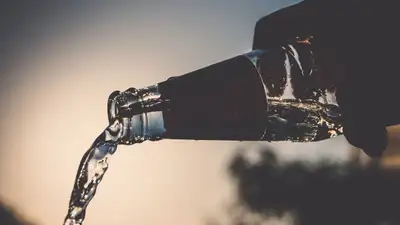 pixabay, фото - Новости Zakon.kz от 18.11.2021 18:24