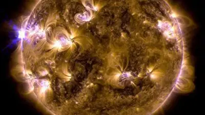 Zakon.kz, фото - Новости Zakon.kz от 11.10.2017 23:36