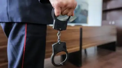 theins.ru, фото - Новости Zakon.kz от 20.03.2018 10:11