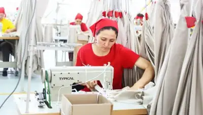 Otyrar.kz, фото - Новости Zakon.kz от 16.10.2018 09:50