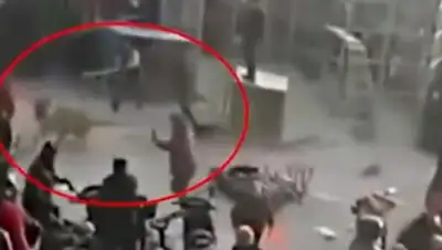 vesti.ru, фото - Новости Zakon.kz от 28.11.2017 19:19