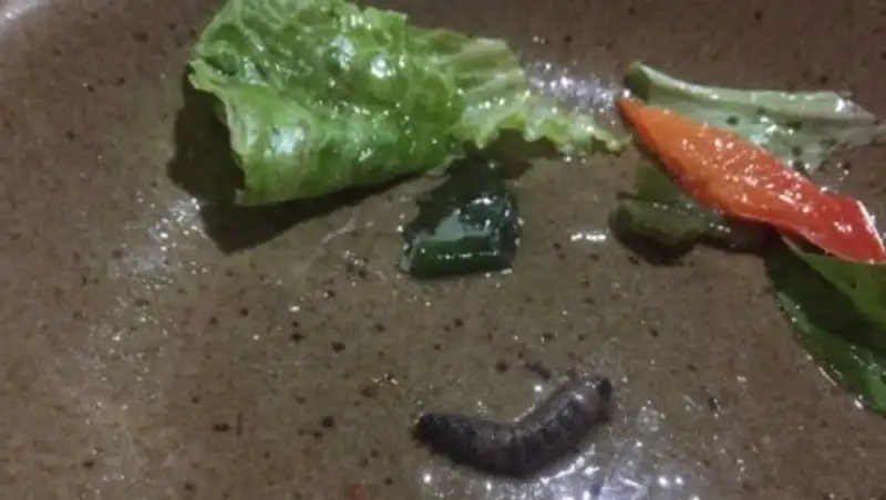 В усть-каменогорском ресторане посетители обнаружили в салате гусеницу