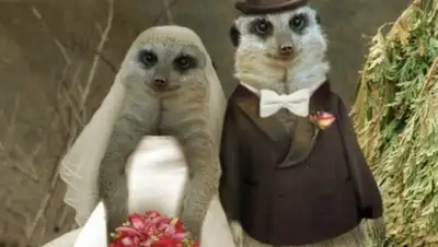 Zakon.kz, фото - Новости Zakon.kz от 10.04.2015 16:21