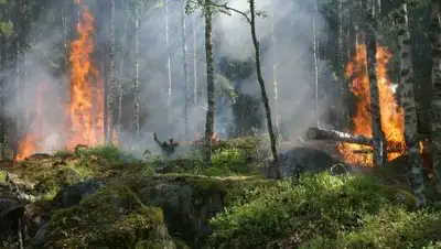 pxhere.com, фото - Новости Zakon.kz от 01.08.2021 23:24