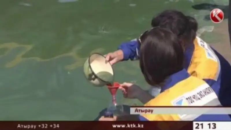 В позеленевшем Урале нашли нефть, фенол и хлорид