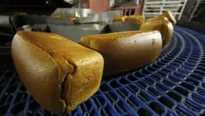 Zakon.kz, фото - Новости Zakon.kz от 07.11.2015 14:11