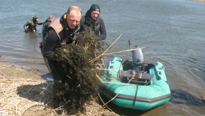 В Костанае и Рудном горожане чистят реку Тобол "изнутри и снаружи"