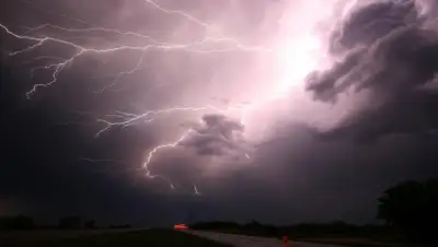 Pixabay, фото - Новости Zakon.kz от 11.09.2020 18:05