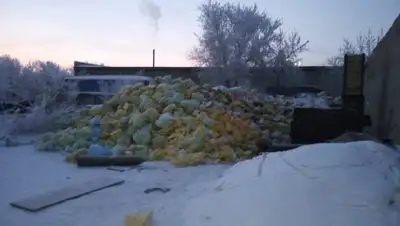 п/служба, фото - Новости Zakon.kz от 24.01.2019 12:37