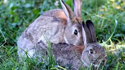 Zakon.kz, фото - Новости Zakon.kz от 19.09.2017 12:23