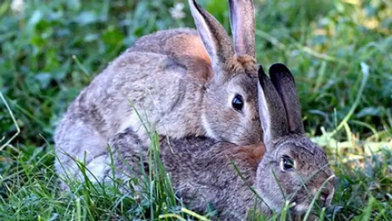 Назван вред слишком частого секса
