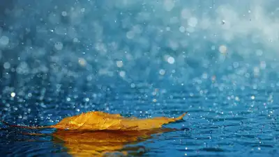 kartinki.moy.su, фото - Новости Zakon.kz от 17.10.2019 09:17