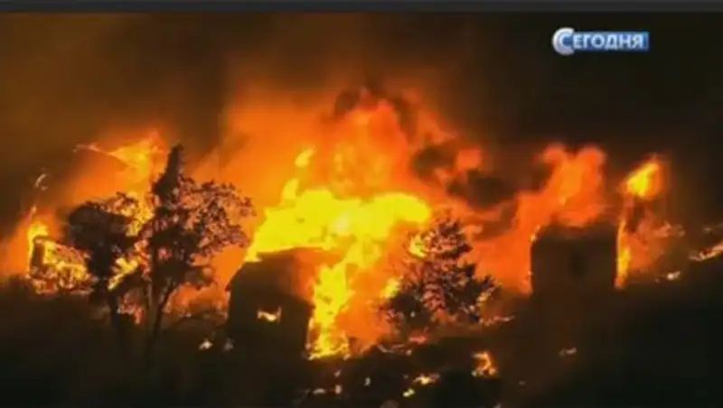 В США пожар уничтожил десятки домов и гектары леса