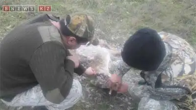 Zakon.kz, фото - Новости Zakon.kz от 08.11.2013 16:22