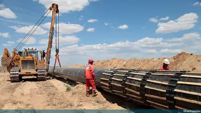 сокращение квоты для иностранцев, фото - Новости Zakon.kz от 10.02.2022 09:56